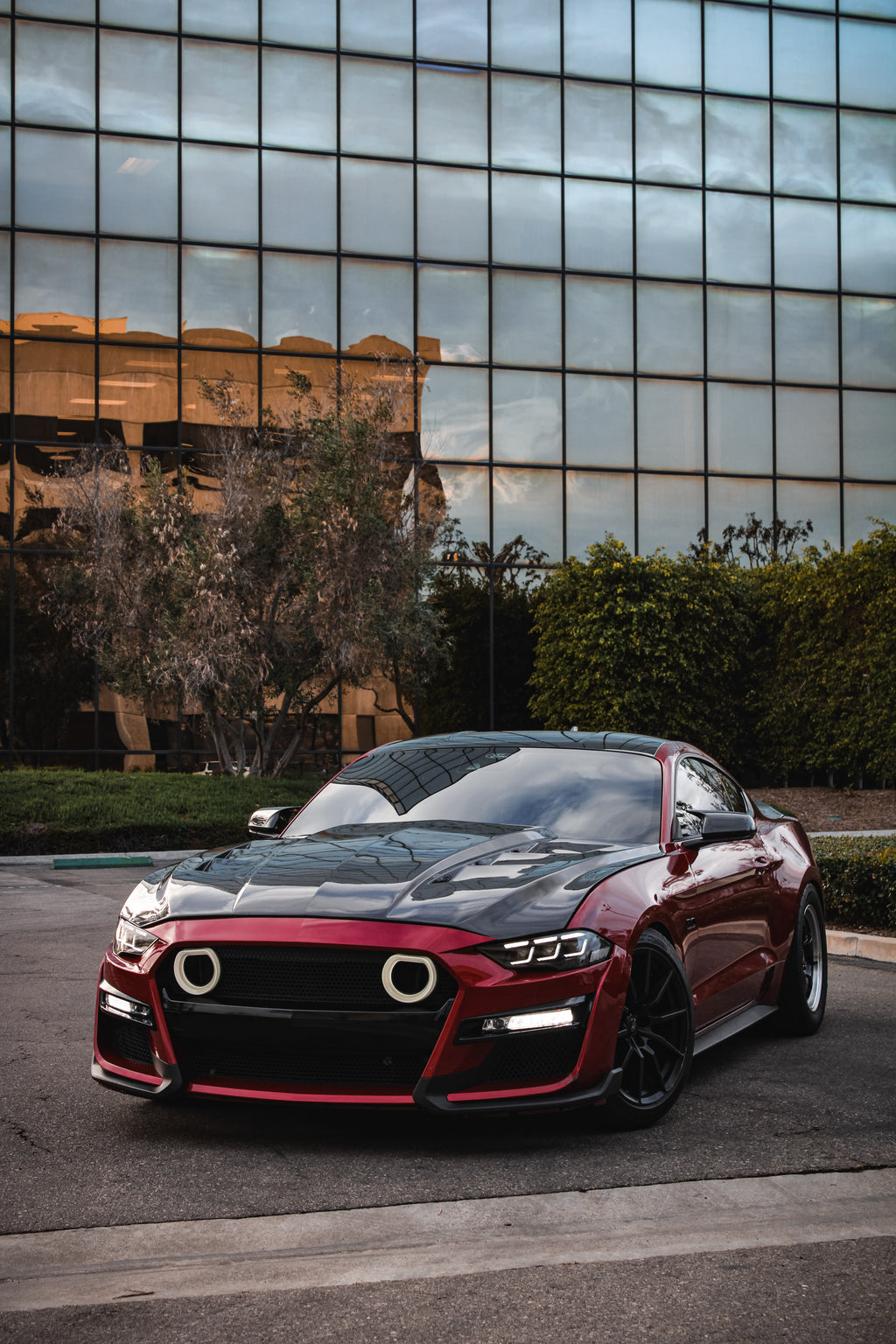 MUSTANG AMS CARBON FIBER HOOD