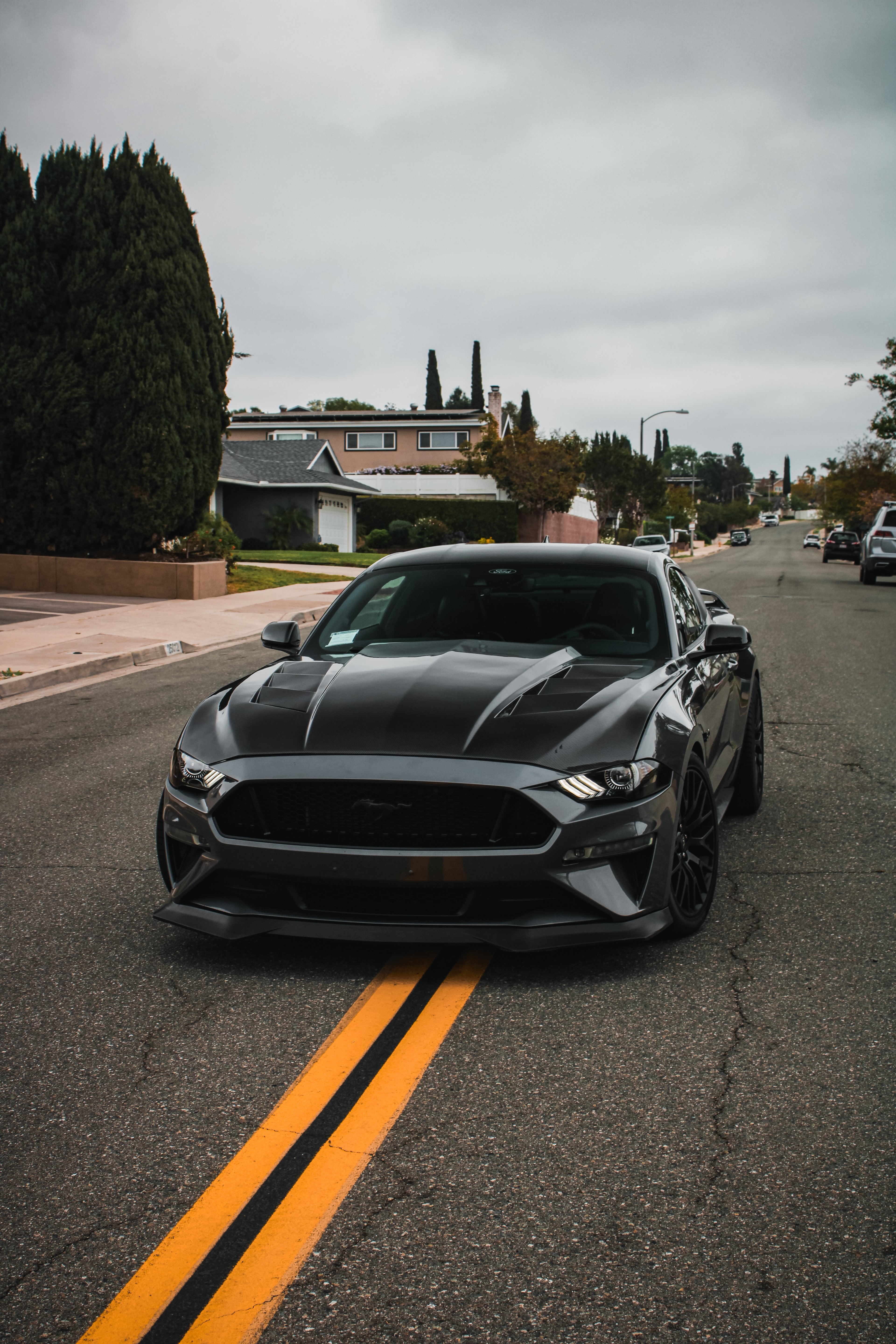 MUSTANG AMS CARBON FIBER HOOD
