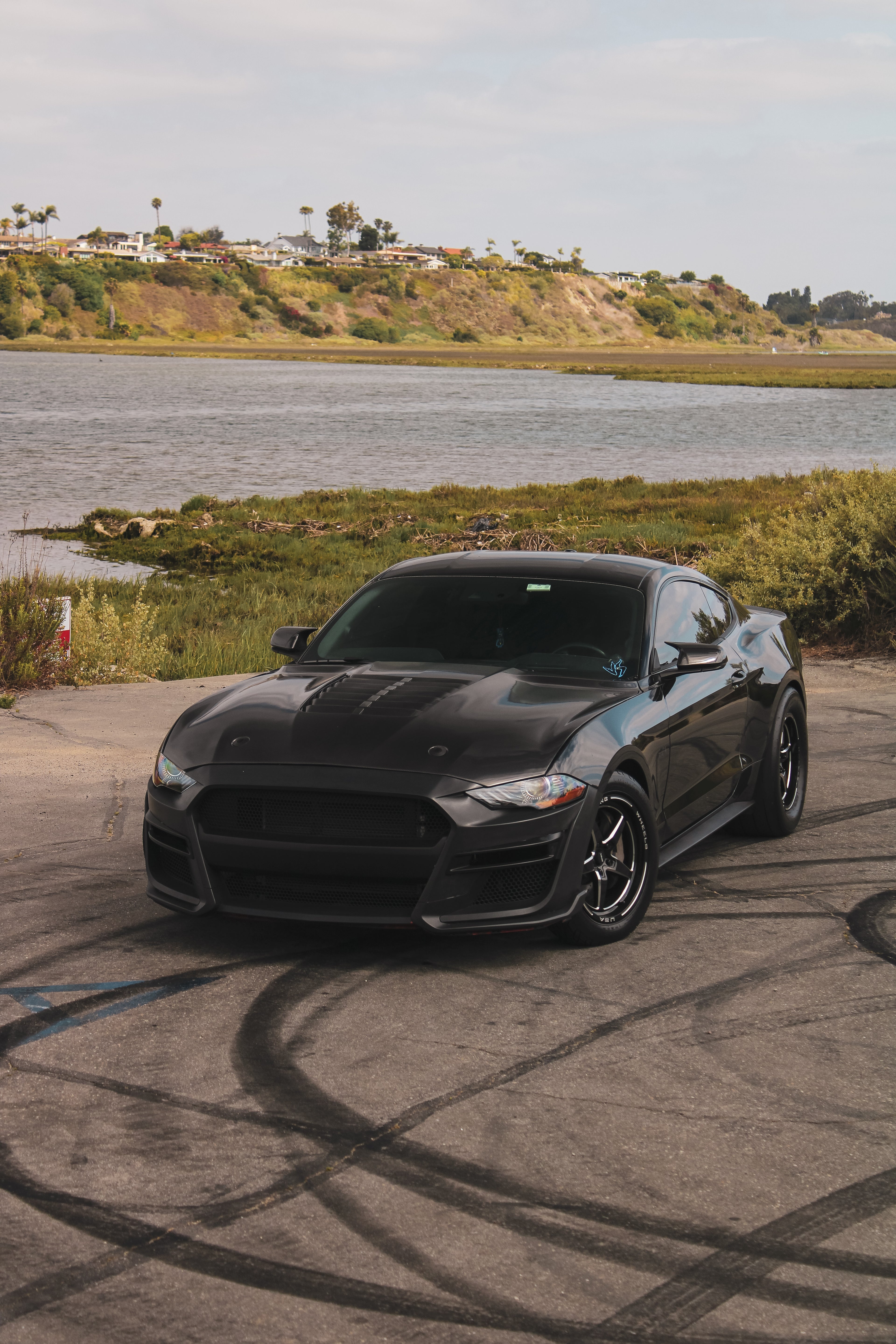 MUSTANG GT500 CARBON FIBER HOOD