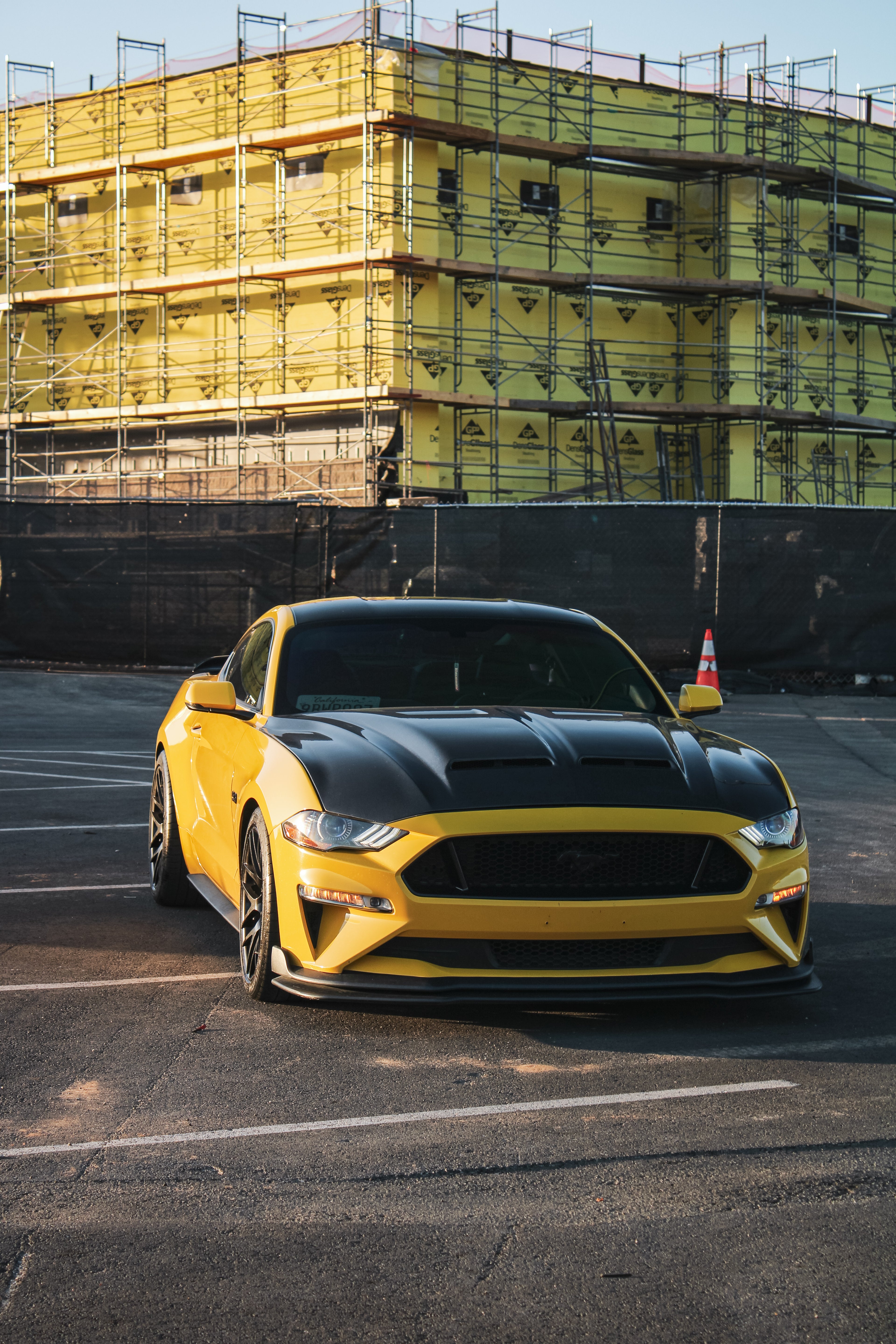MUSTANG SUPER SNAKE CARBON FIBER HOOD