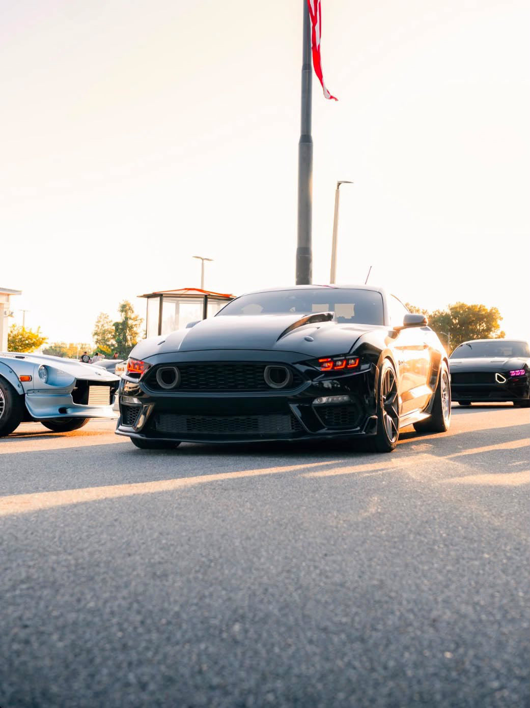 2015-2023 MUSTANG COWL CARBON FIBER HOOD