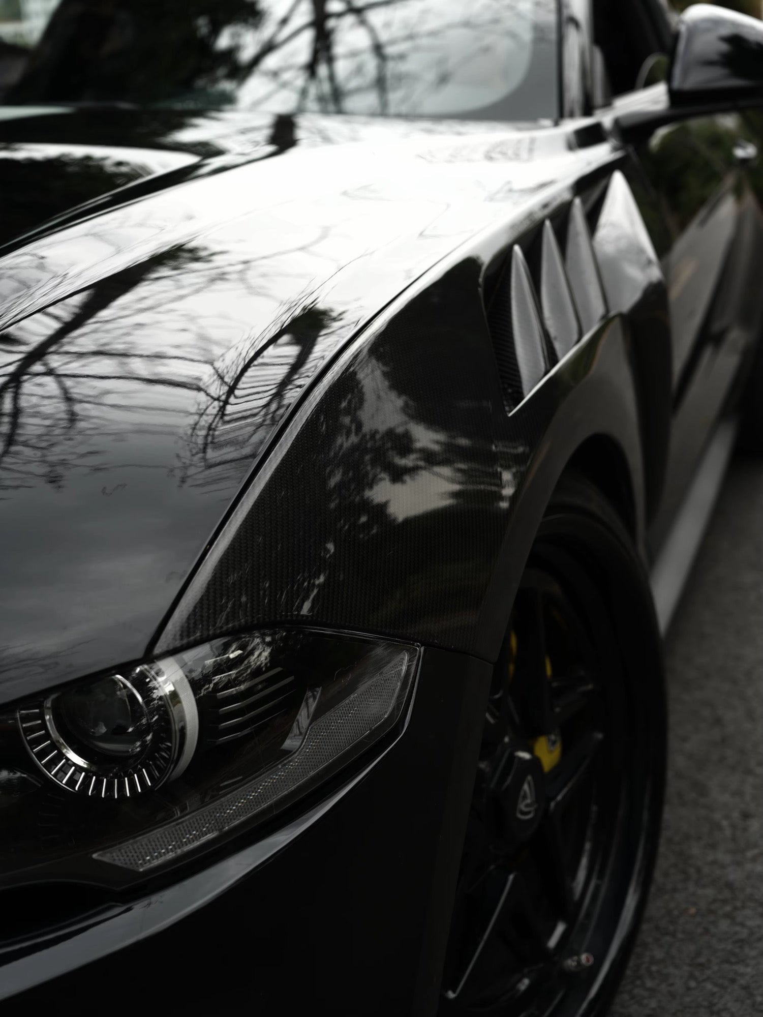 MUSTANG GTD CARBON FIBER FENDERS
