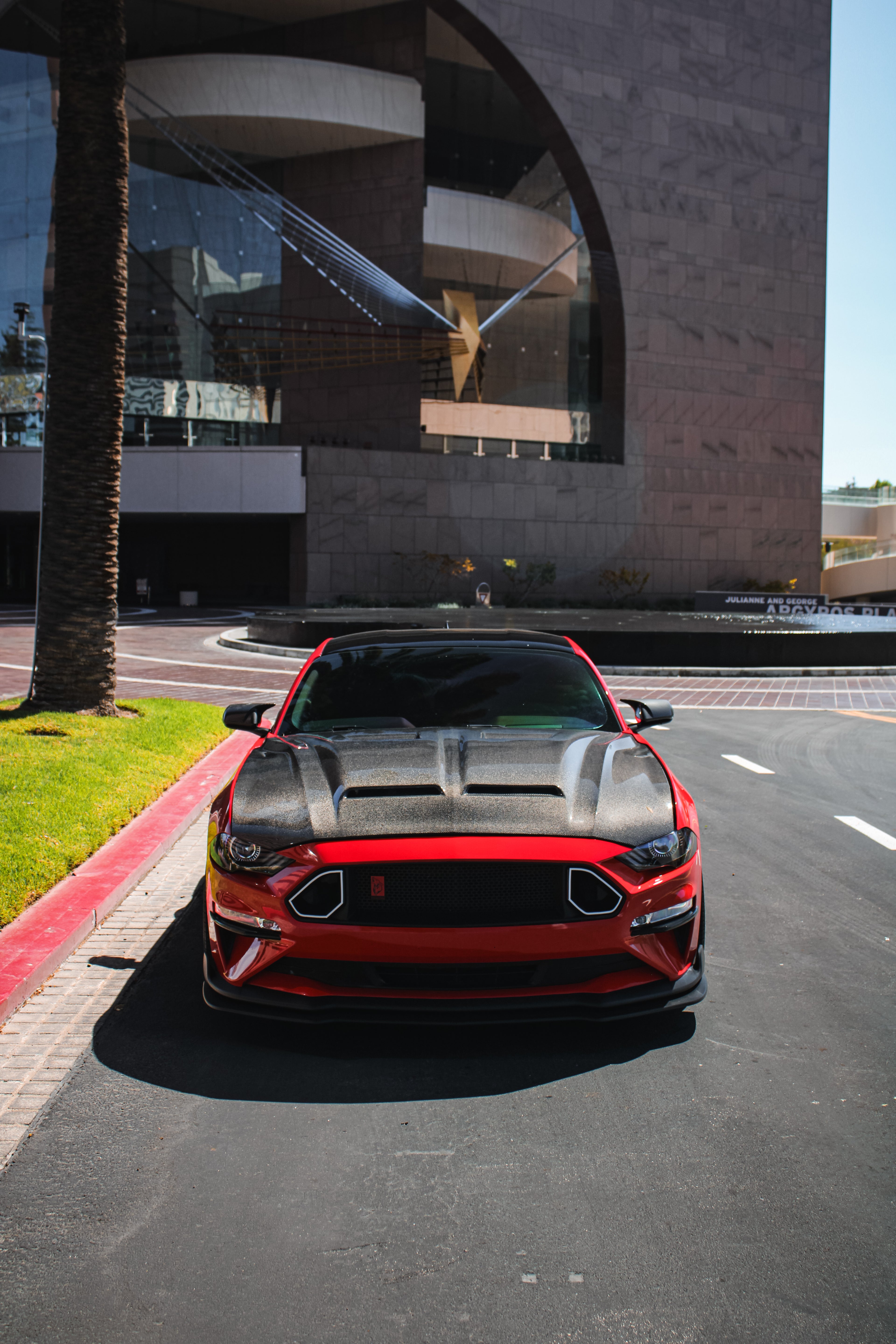 MUSTANG SUPER SNAKE CARBON FIBER HOOD