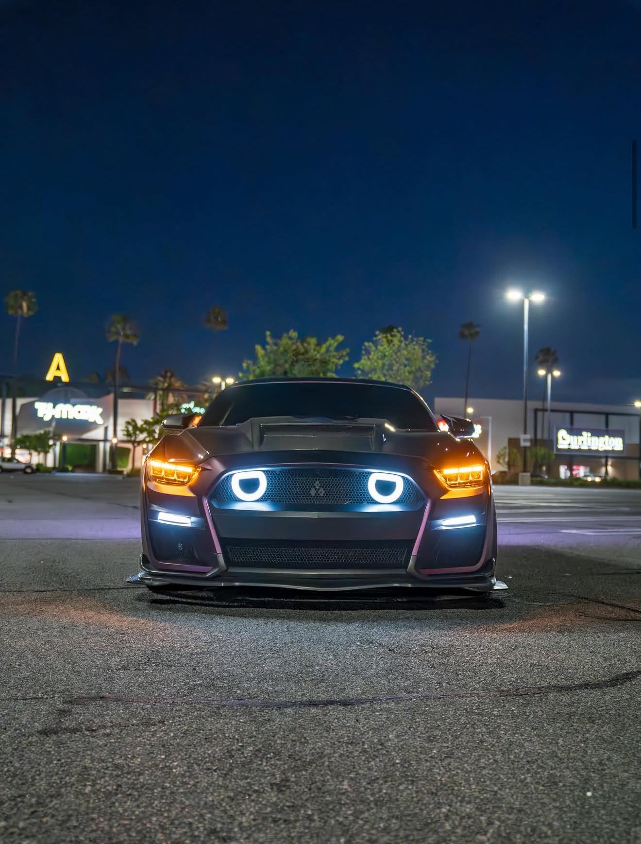 MUSTANG TERMINATOR CARBON FIBER HOOD