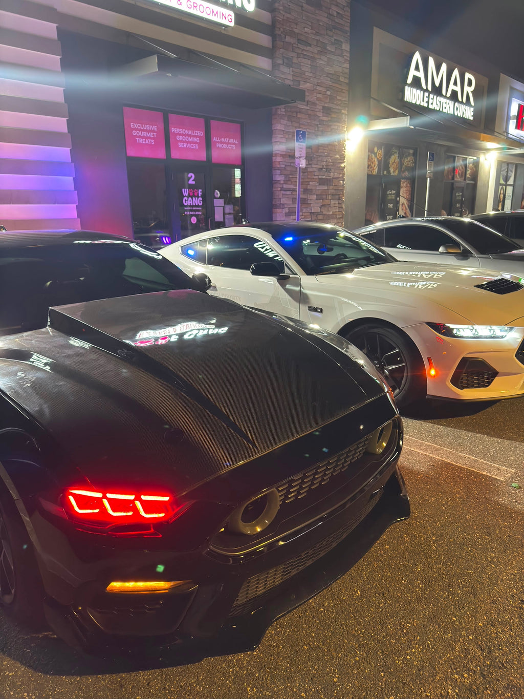 2015-2023 MUSTANG COWL CARBON FIBER HOOD