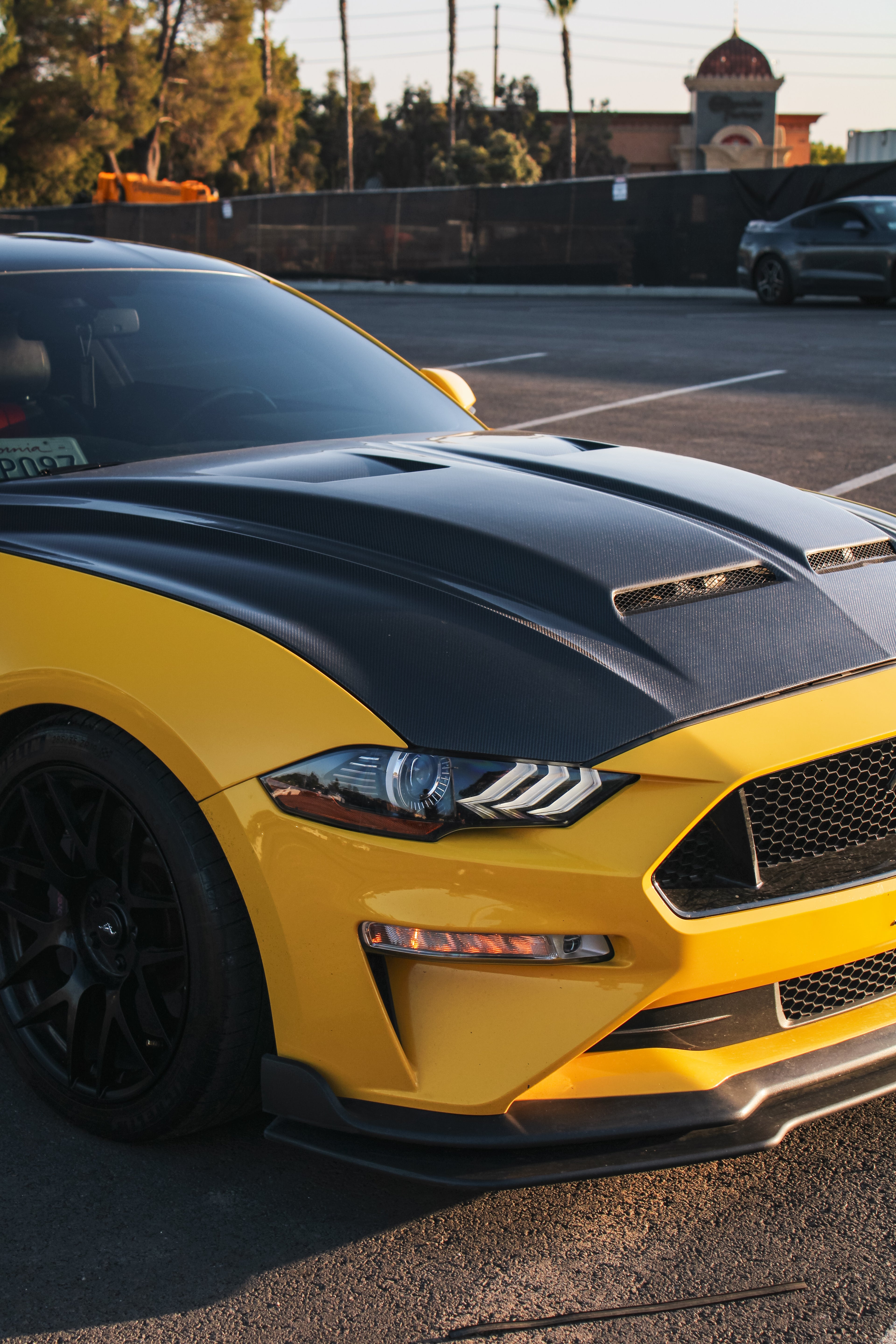 MUSTANG SUPER SNAKE CARBON FIBER HOOD