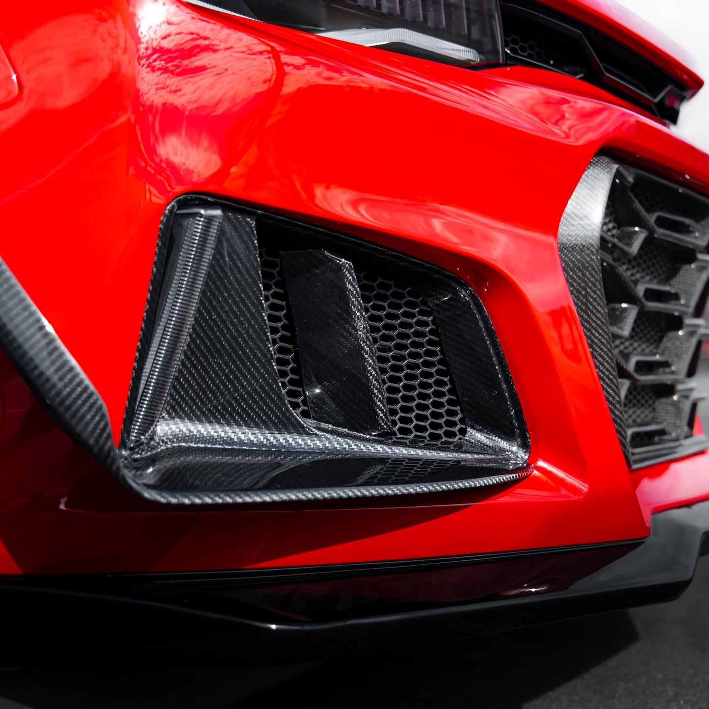 Universal Hexagon Mesh Protection For Bumper Conversion (3PC)