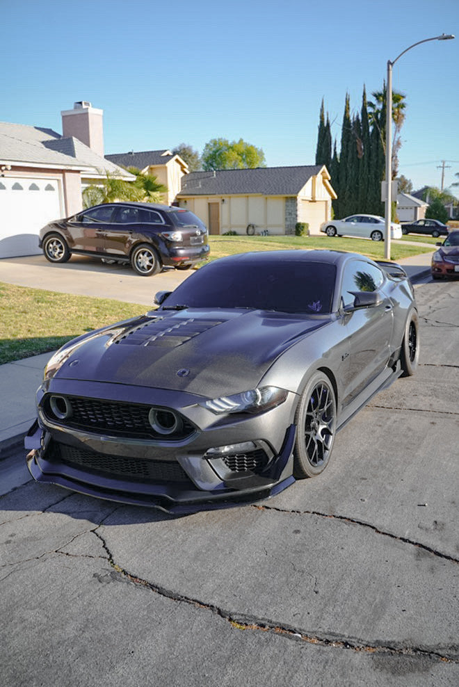 MUSTANG GT500 CARBON FIBER HOOD