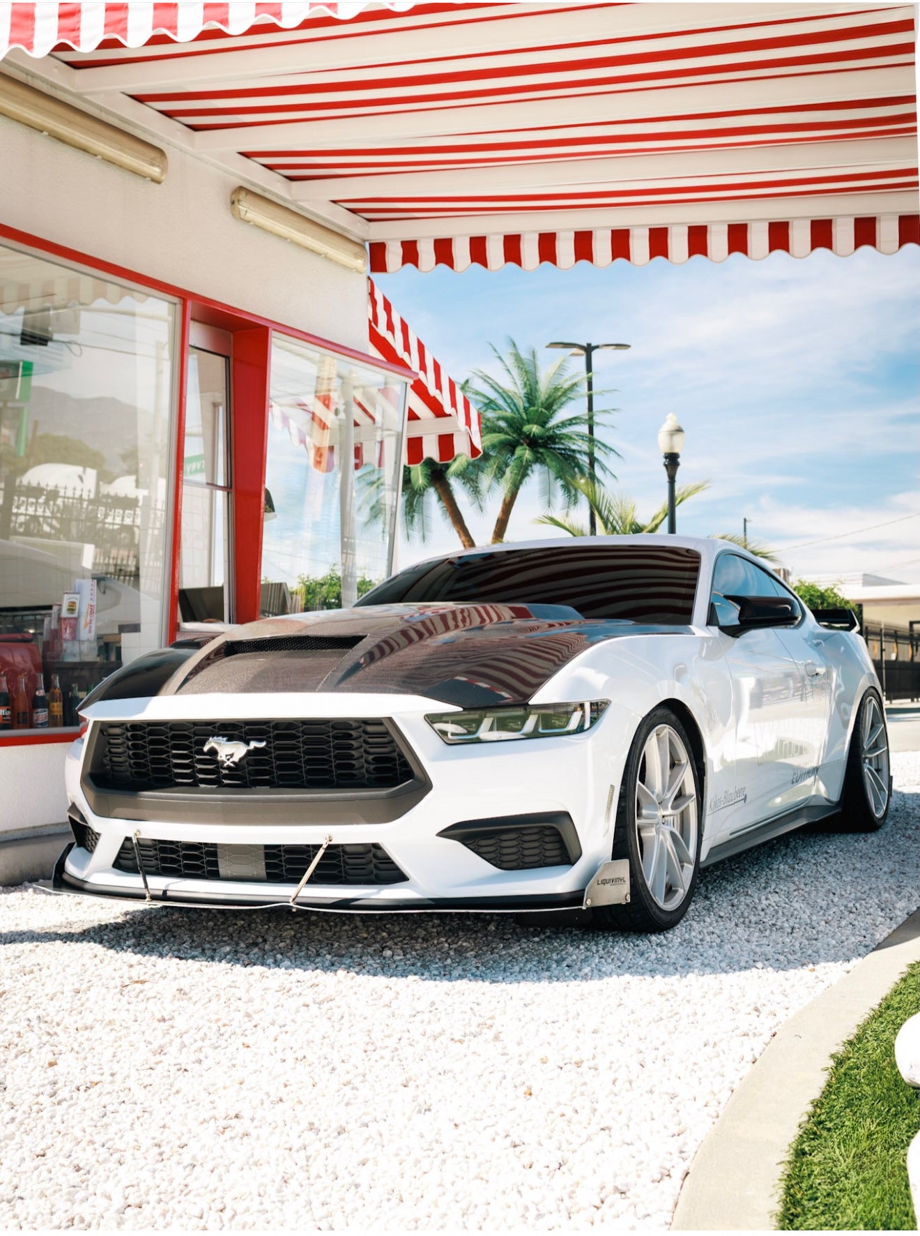 2024+ MUSTANG TERMINATOR CARBON FIBER HOOD