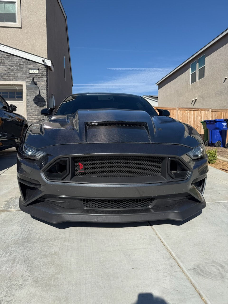 MUSTANG TERMINATOR CARBON FIBER HOOD