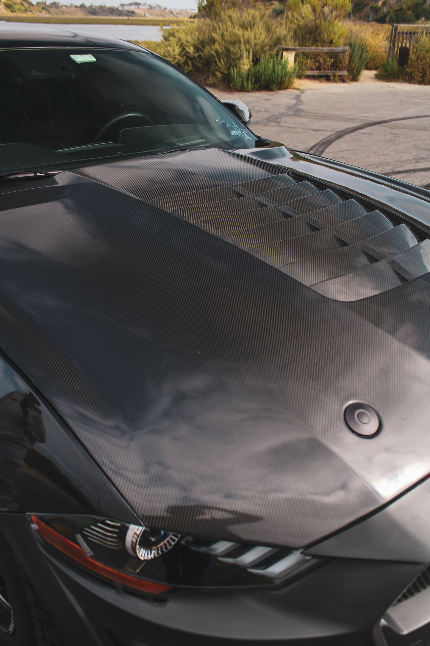 MUSTANG GT500 CARBON FIBER HOOD