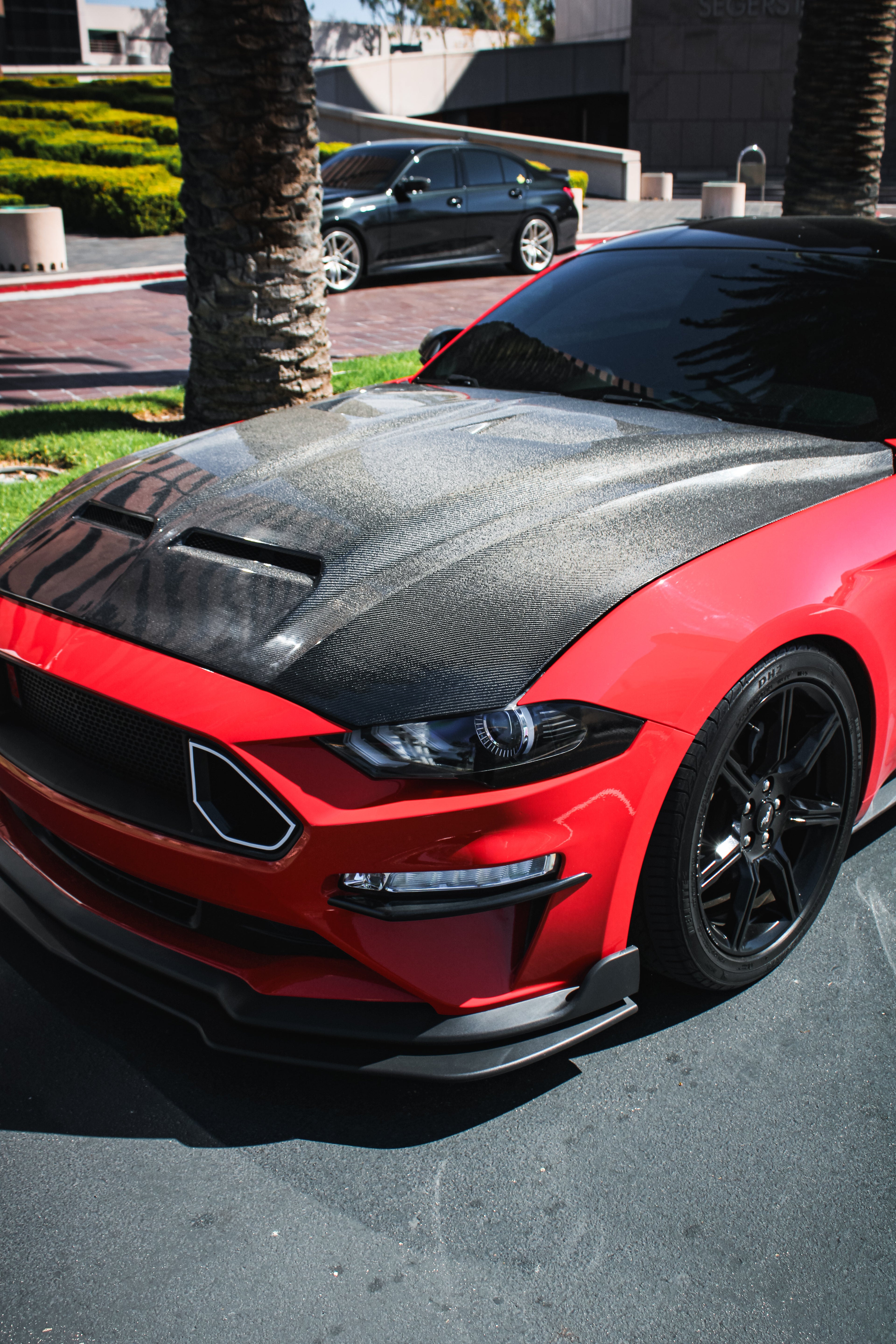 MUSTANG SUPER SNAKE CARBON FIBER HOOD