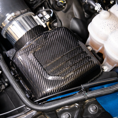 2024-2025 Ford Mustang S650 Carbon Fiber Intake Cover (Pair)