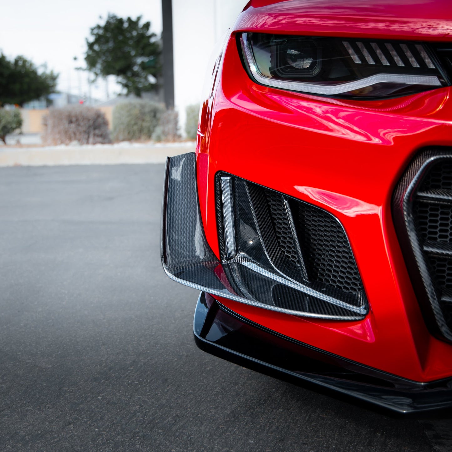 Universal Hexagon Mesh Protection For Bumper Conversion (3PC)