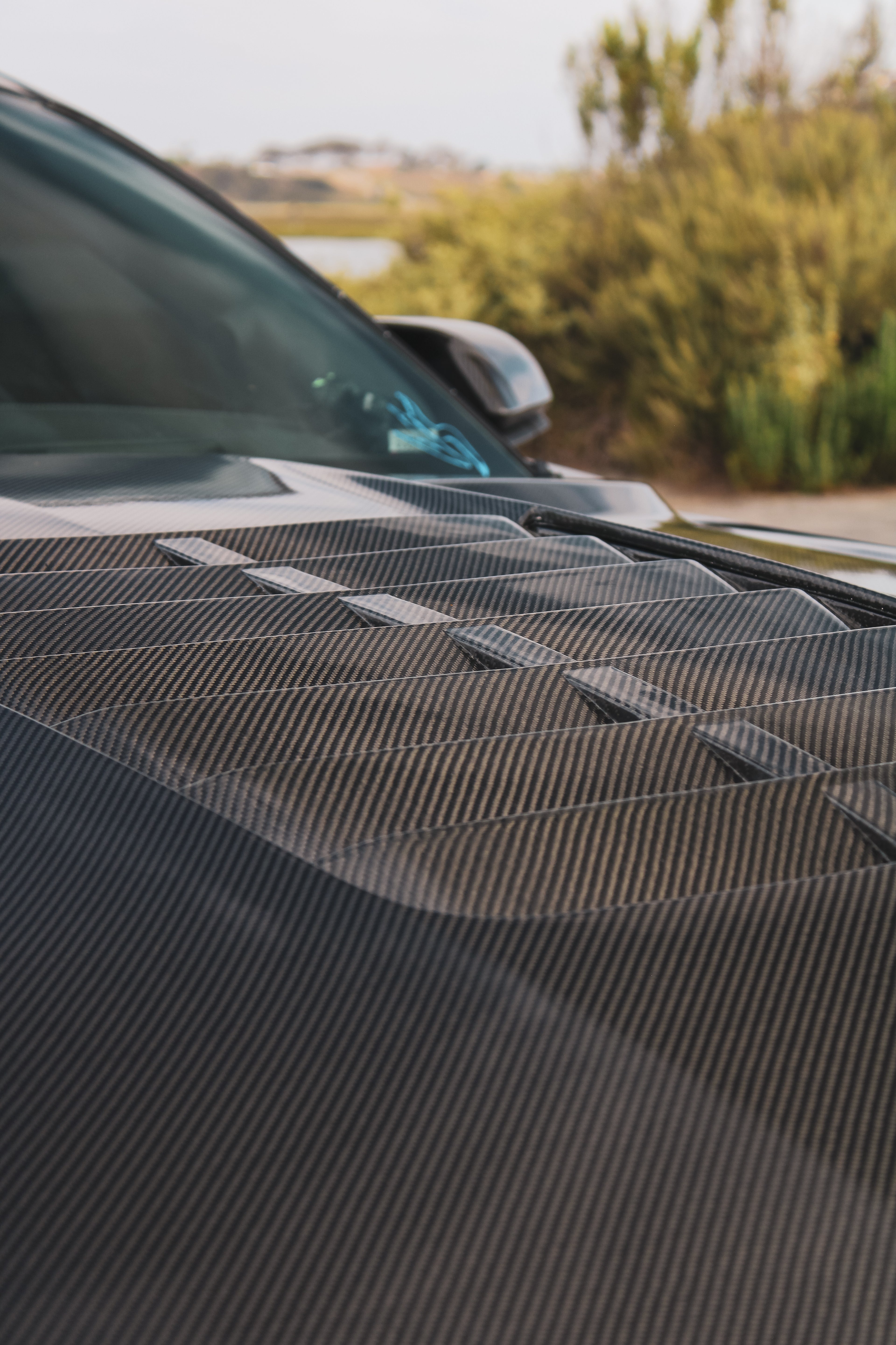MUSTANG GT500 CARBON FIBER HOOD