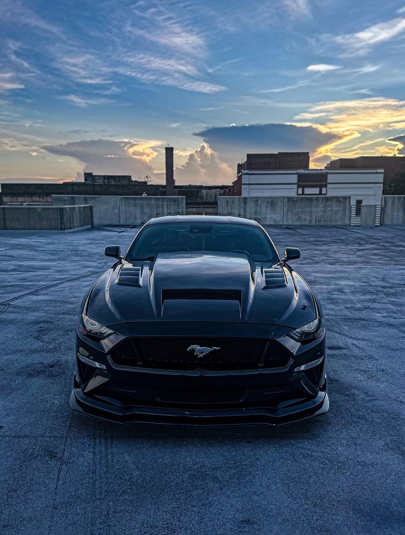 MUSTANG TERMINATOR CARBON FIBER HOOD