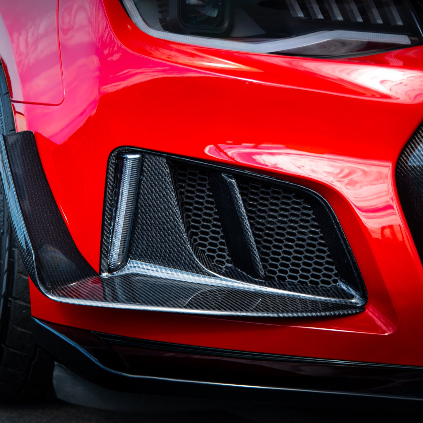 Universal Hexagon Mesh Protection For Bumper Conversion (3PC)