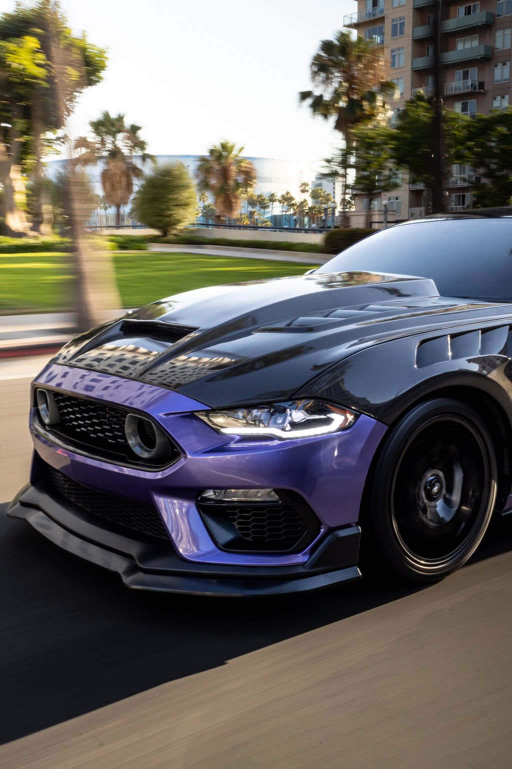 MACH 1 BUMPER