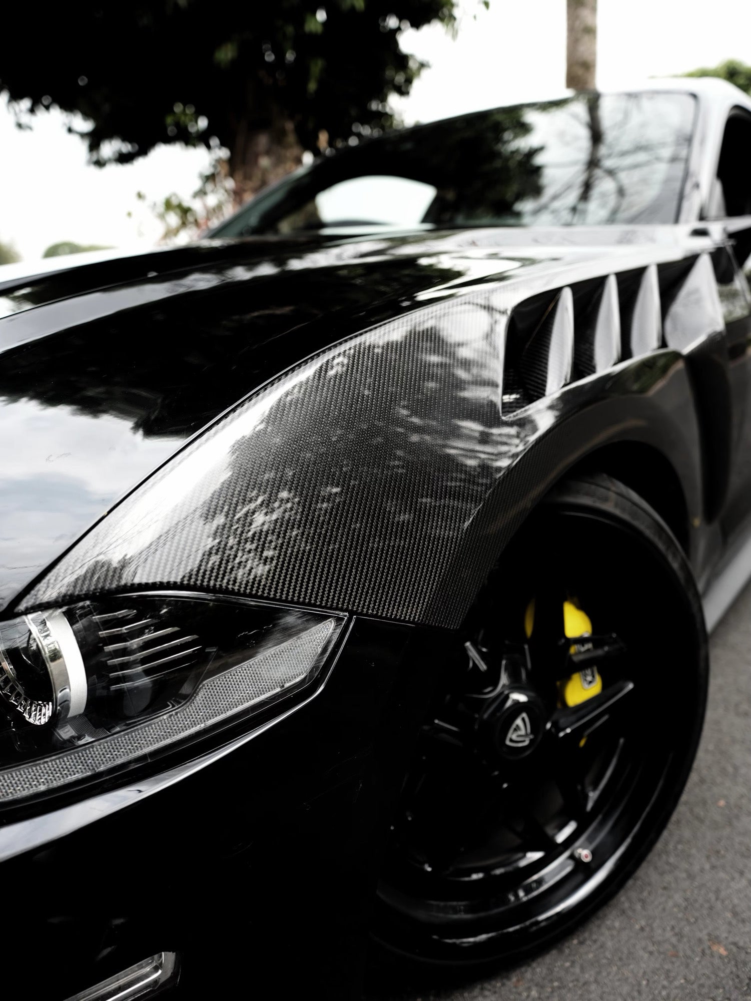 MUSTANG GTD CARBON FIBER FENDERS