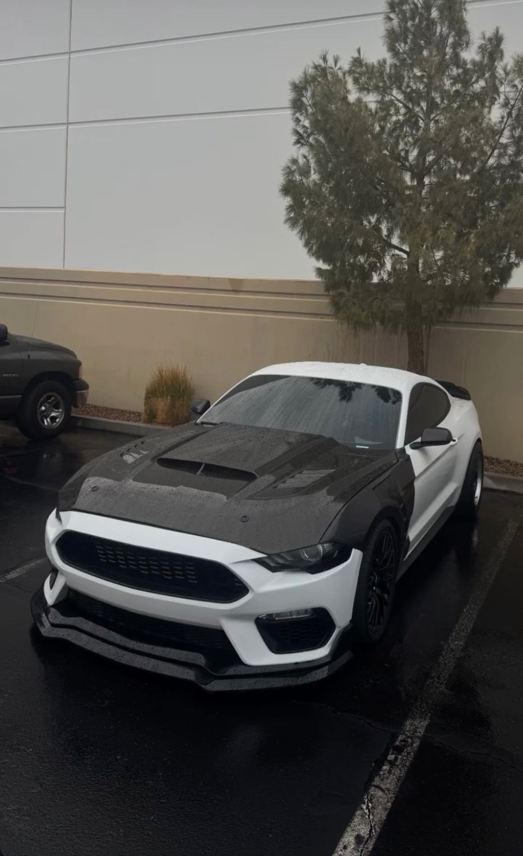 2015-2023 MUSTANG GT500 CARBON FIBER FENDERS