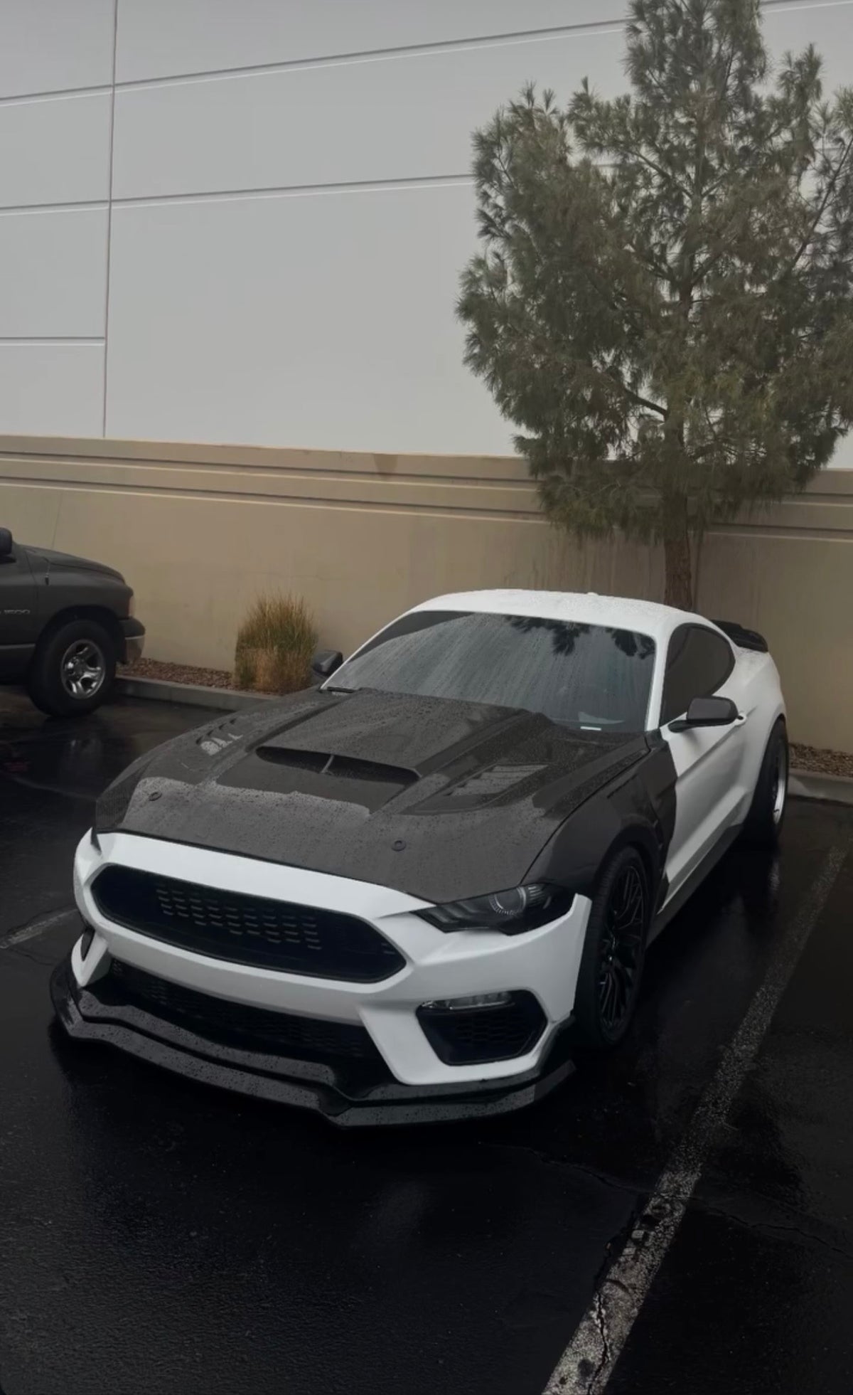 2015-2023 MUSTANG GT500 CARBON FIBER FENDERS