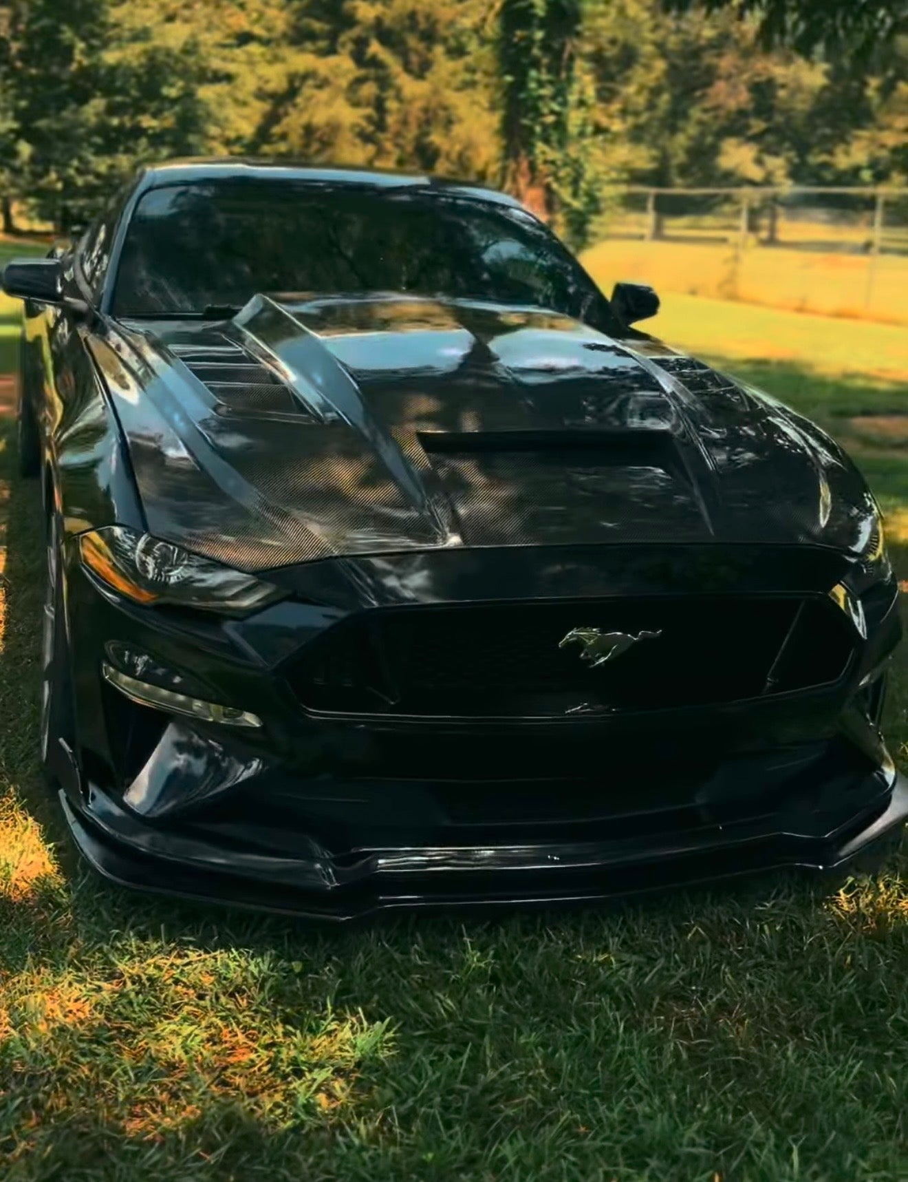 MUSTANG TERMINATOR CARBON FIBER HOOD