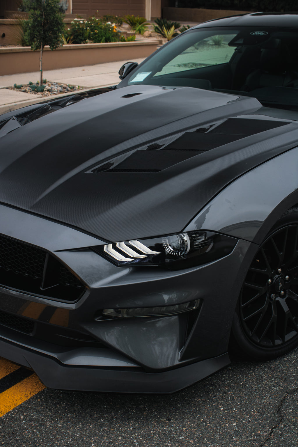 MUSTANG AMS CARBON FIBER HOOD
