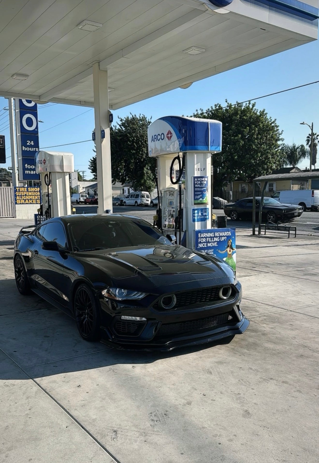 MACH 1 BUMPER