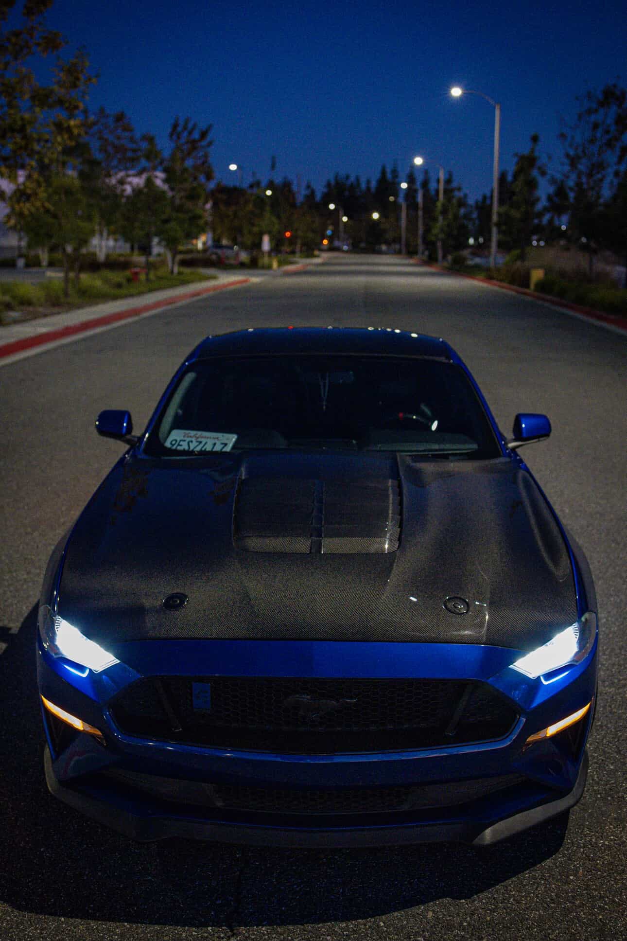 MUSTANG GT500 CARBON FIBER HOOD