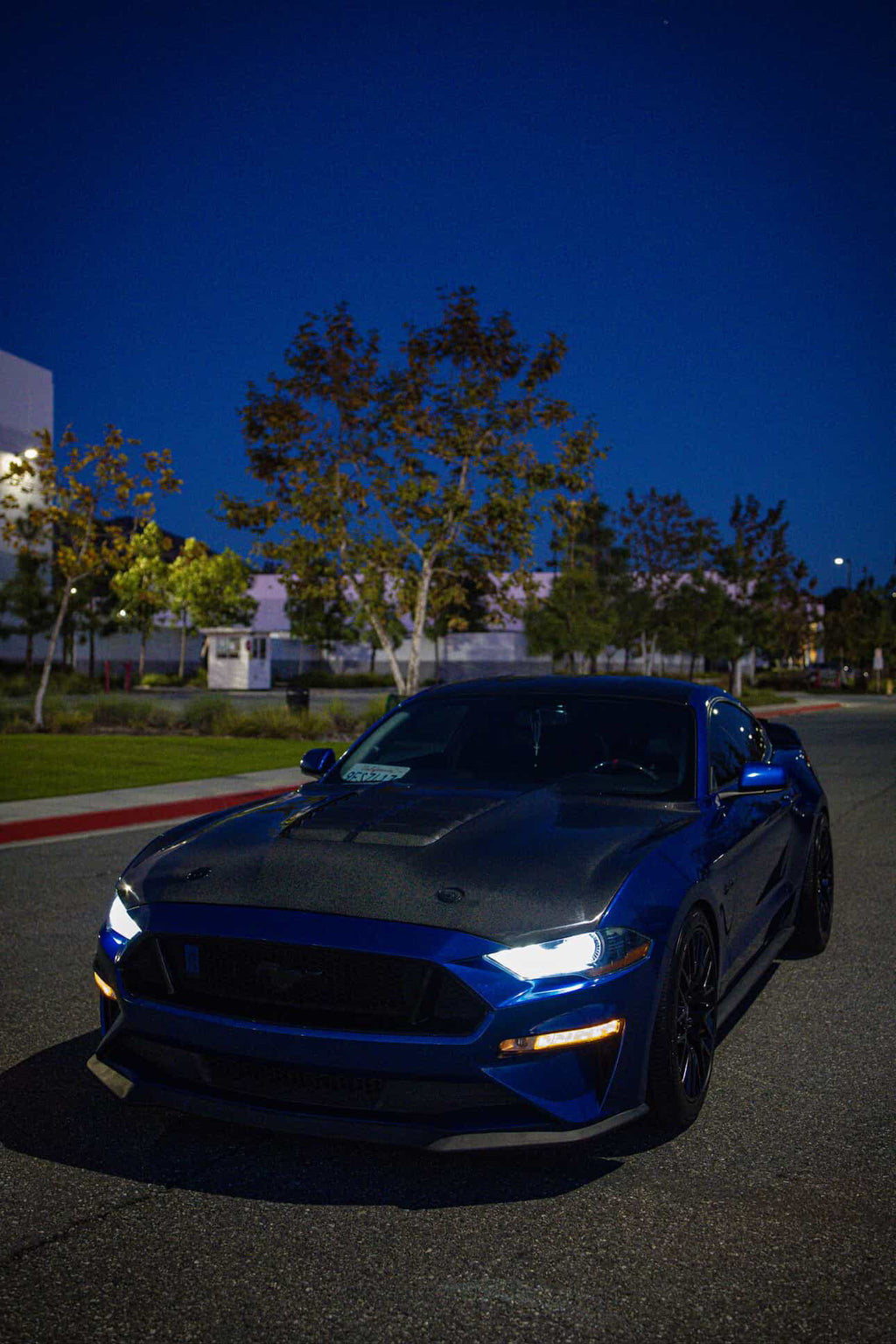 MUSTANG GT500 CARBON FIBER HOOD