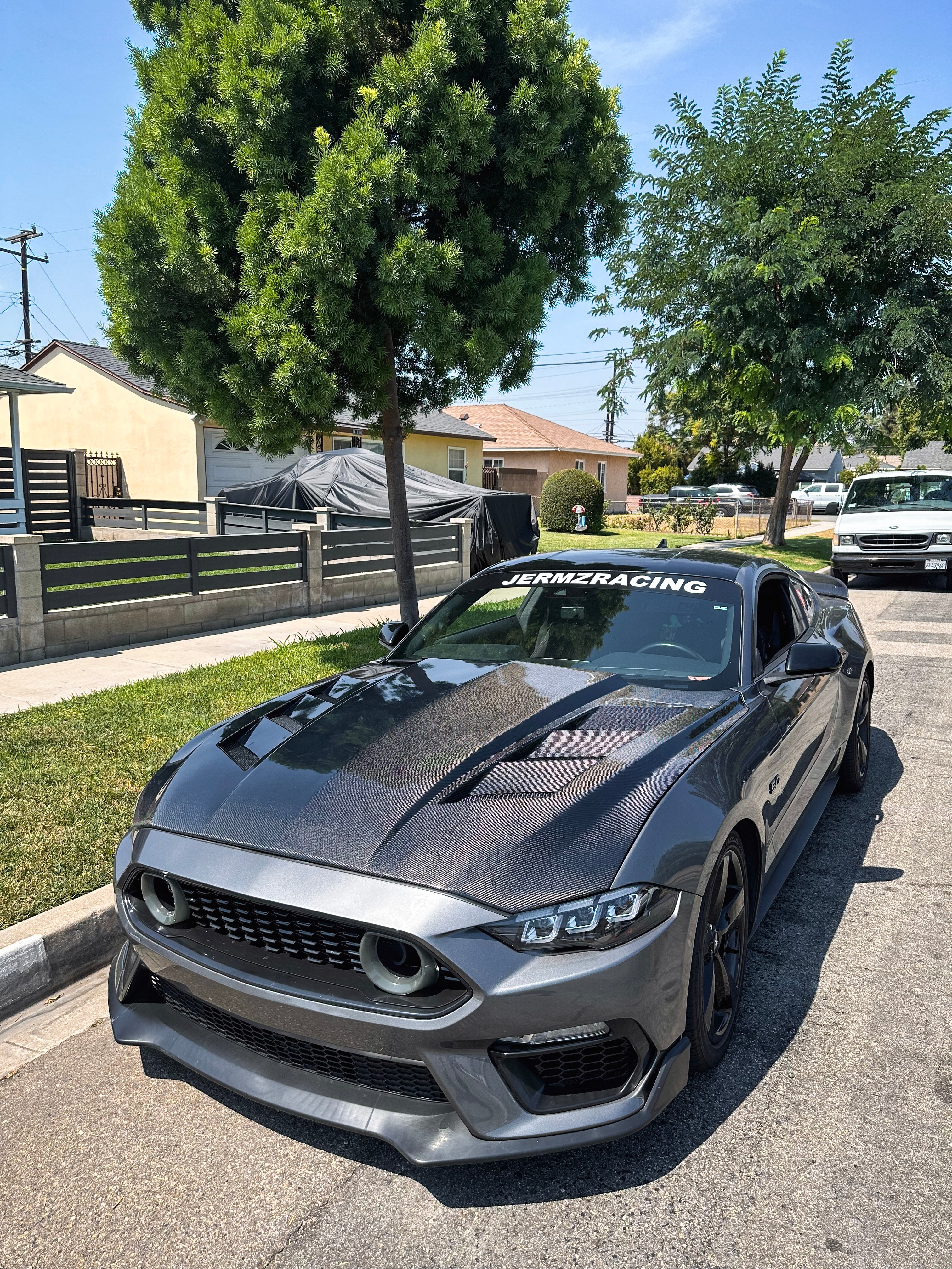 MUSTANG AMS CARBON FIBER HOOD