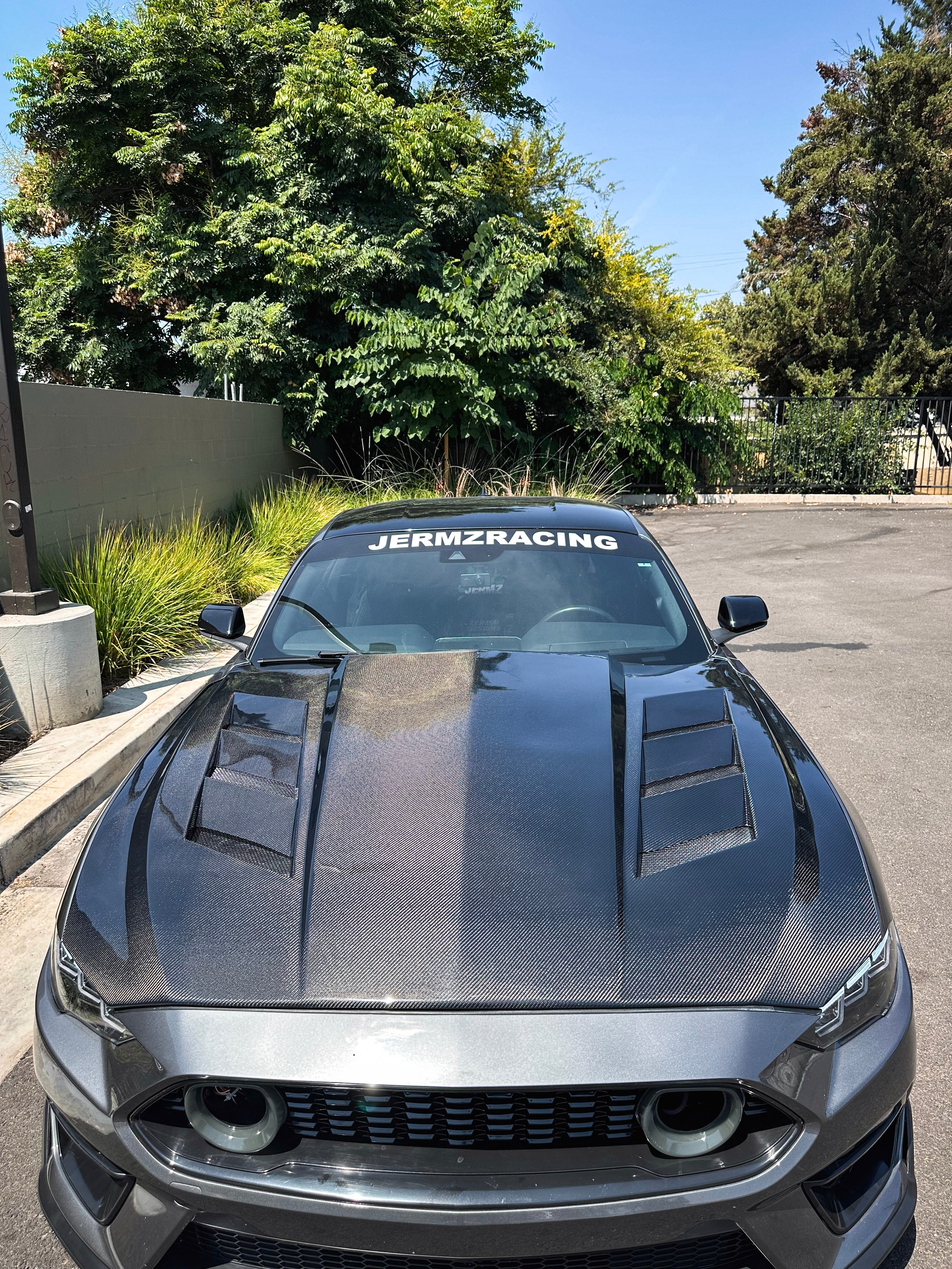 MUSTANG AMS CARBON FIBER HOOD