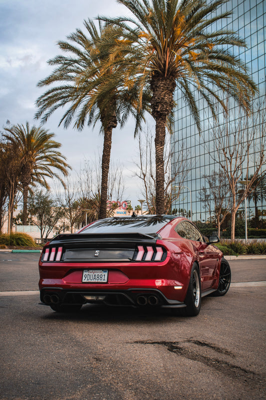 2015-2023 MUSTANG DUCKTAIL CARBON FIBER TRUNK