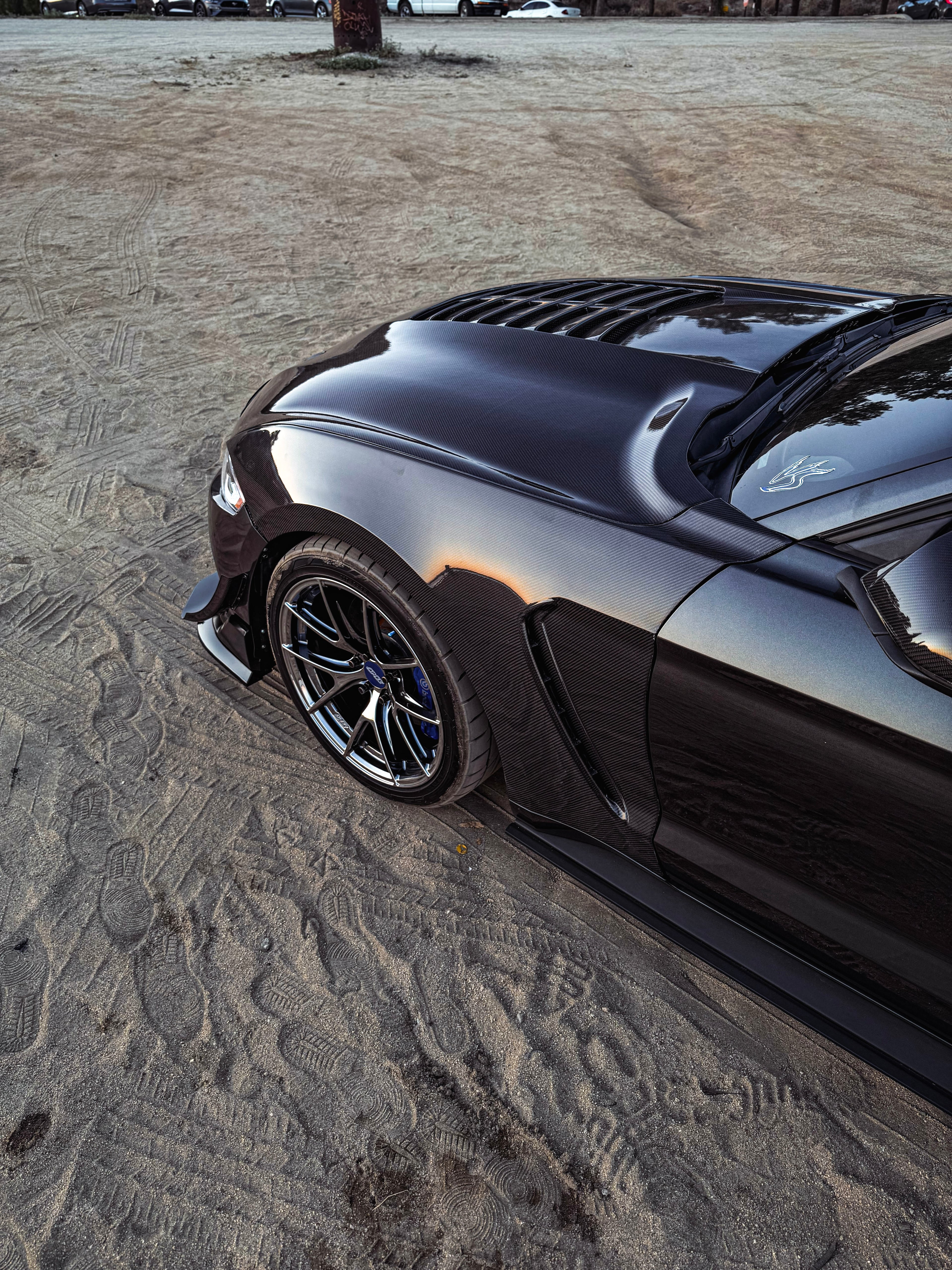 2018-2023 MUSTANG GT350 CABRON FIBER FENDERS