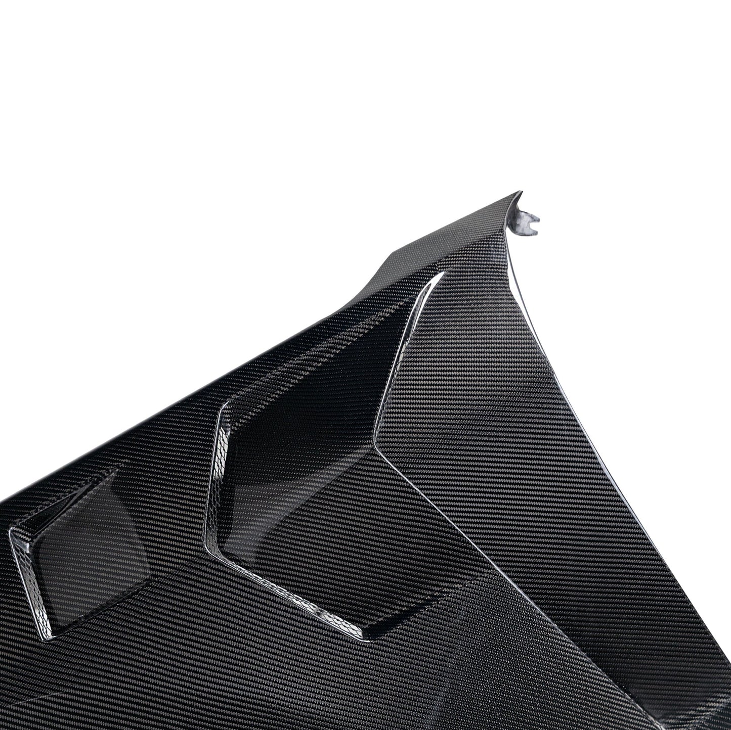 2024-2025 Mustang S650 Type-LM Gloss Carbon Fiber Fenders