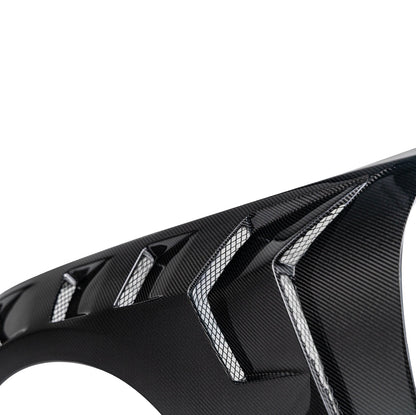 2024-2025 Mustang S650 Type-LM Gloss Carbon Fiber Fenders