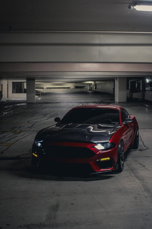 GT500 CARBON FIBER HOOD