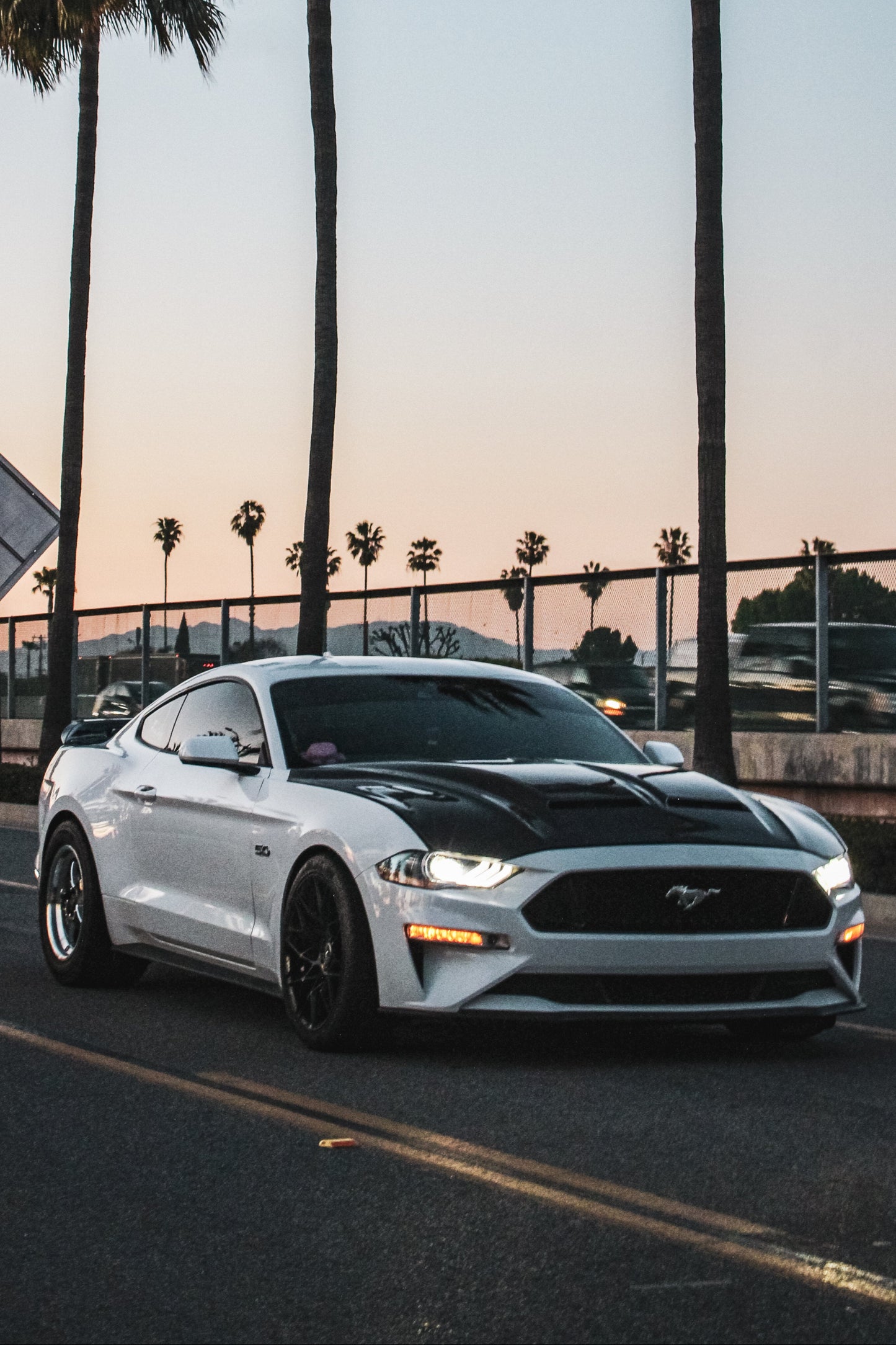 MUSTANG SUPER SNAKE CARBON FIBER HOOD