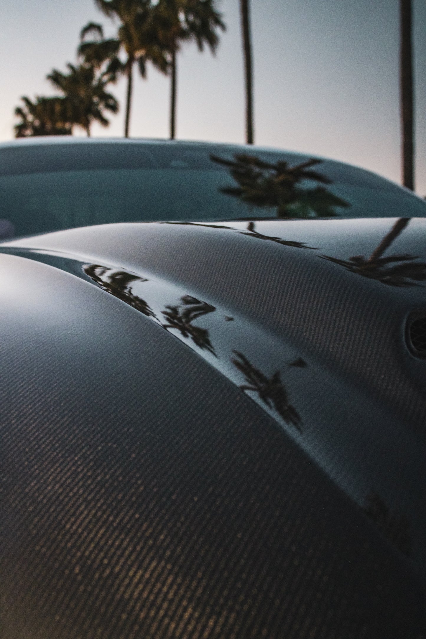 MUSTANG SUPER SNAKE CARBON FIBER HOOD