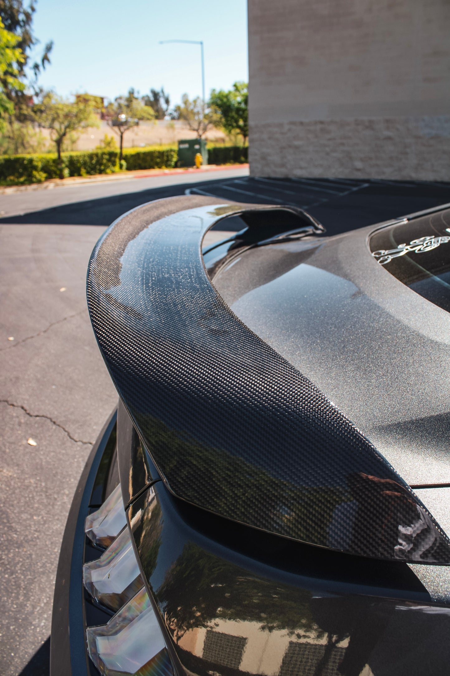 2015-2023 MUSTANG GT350 CARBON FIBER SPOILER