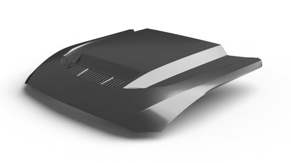 2024-2025 Mustang S650 Type-LM Carbon Fiber Double Sided Hood